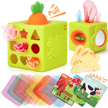 Cargar imagen en el visor de la Galería, Silicon Carrot Tissue Box