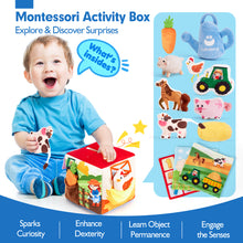 Cargar imagen en el visor de la Galería, 13 PCS Surprise Developmental Soft Sensory Box