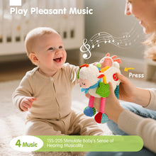 Cargar imagen en el visor de la Galería, My First Plush Sensory Toy