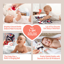 Carica l'immagine nel visualizzatore Galleria, 30 PCS Newborn Baby Sensory Toys 0-6 Months