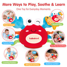 Load image into Gallery viewer, BABY PLUSH CRAWLING CRAB TOY