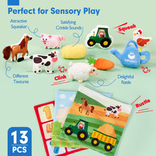 Cargar imagen en el visor de la Galería, 13 PCS Surprise Developmental Soft Sensory Box