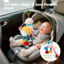 Cargar imagen en el visor de la Galería, My First Plush Sensory Toy