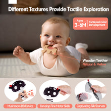 Carica l'immagine nel visualizzatore Galleria, 30 PCS Newborn Baby Sensory Toys 0-6 Months