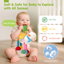 Cargar imagen en el visor de la Galería, My First Plush Sensory Toy