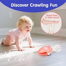 Load image into Gallery viewer, hahaland Dancing Squid Toy - Tummy Time Toys, Crawling Toys, Wiggling Musical Standing Toy, Funny Baby Girl Gifts, Dancing Octopus Baby Toys