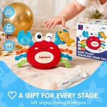 Load image into Gallery viewer, BABY PLUSH CRAWLING CRAB TOY