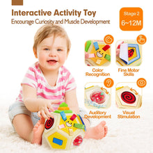 Cargar imagen en el visor de la Galería, Busy Ball Sensory Ball Toys Montessori Toys