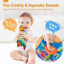 Cargar imagen en el visor de la Galería, Baby Books 0-6 Months Crinkle Baby Toys 2 PCS