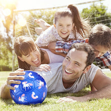 Carica l'immagine nel visualizzatore Galleria, Pallone da calcio misura 3 effetto glitter con pompa