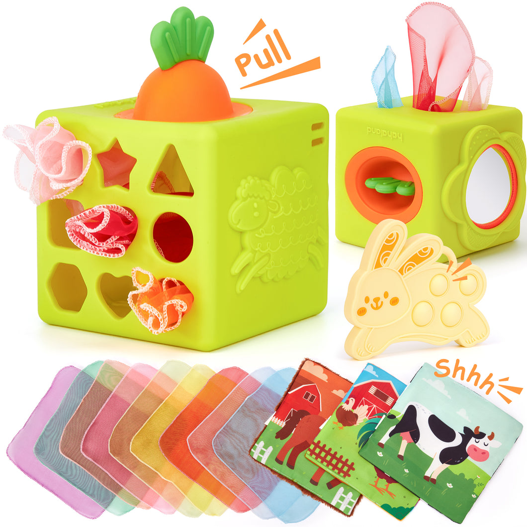 Silicon Carrot Tissue Box