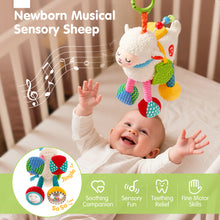 Cargar imagen en el visor de la Galería, My First Plush Sensory Toy
