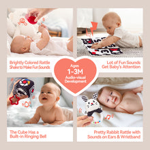 Cargar imagen en el visor de la Galería, 30 PCS Newborn Baby Sensory Toys 0-6 Months
