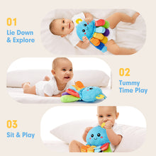 Cargar imagen en el visor de la Galería, Multi-Sensory Tummy Time Toy
