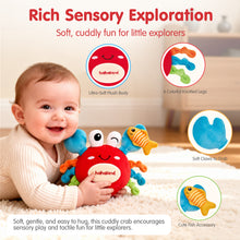 Load image into Gallery viewer, BABY PLUSH CRAWLING CRAB TOY
