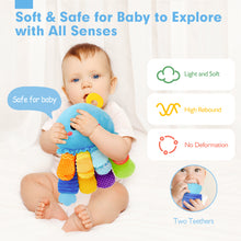 Cargar imagen en el visor de la Galería, Multi-Sensory Tummy Time Toy
