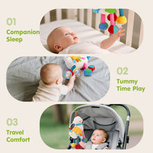 Cargar imagen en el visor de la Galería, My First Plush Sensory Toy
