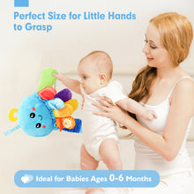 Cargar imagen en el visor de la Galería, Multi-Sensory Tummy Time Toy
