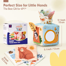 Load image into Gallery viewer, Montessori Baby Tissue Box Toy 6-12 Months
