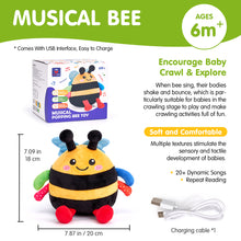 Carica l&#39;immagine nel visualizzatore Galleria, Musical Dancing Bee Toy
