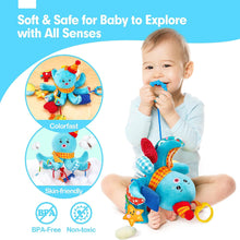 Cargar imagen en el visor de la Galería, Squeaky Crinkle Rattle Mirror Baby Toys 0-6-12 Months
