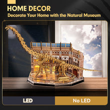 Load image into Gallery viewer, Cubicfun® 3D Puzzle LED Natural Museum Brachiosaurus Kit
