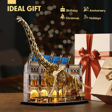 Load image into Gallery viewer, Cubicfun® 3D Puzzle LED Natural Museum Brachiosaurus Kit
