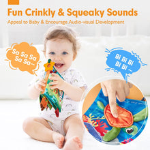 Charger l&#39;image dans la visionneuse de la galerie, Baby Books 0-6 Months Crinkle Baby Toys 2 PCS
